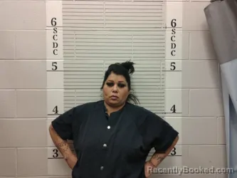 Recent Mugshot Image for Elizabeth M Gonzales in Socorro County, New Mexico