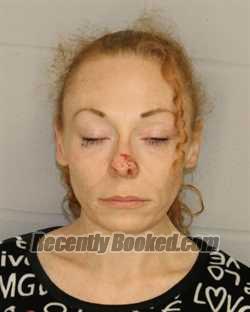 Recent Mugshot Image for RACHEL V MEHMEL in Allegany County, New York