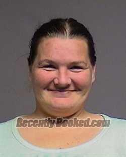 Recent Mugshot Image for Sarah Elizabeth Peterson in Broome County, New York