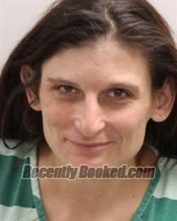 Recent Mugshot Image for MEGAN ELIZABETH FORD in Cattaraugus County, New York