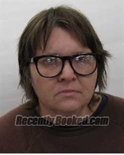 Recent Mugshot Image for Vanessa M Braun in Chautauqua County, New York