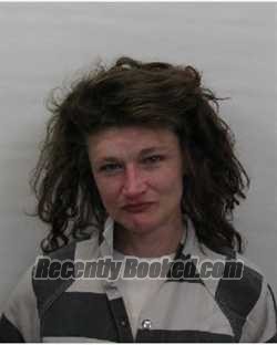 Recent Mugshot Image for Toni L Schnars in Chautauqua County, New York