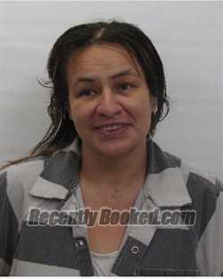 Recent Mugshot Image for Danielle R Raynor in Chautauqua County, New York