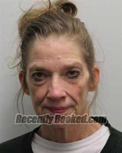 Recent Mugshot Image for ELIZABETH ANNE FORTNER in Chemung County, New York