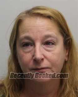 Recent Mugshot Image for NIKKI R PERKINS in Chemung County, New York