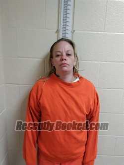 Recent Mugshot Image for Mary VAY SLAVICK in Chenango County, New York