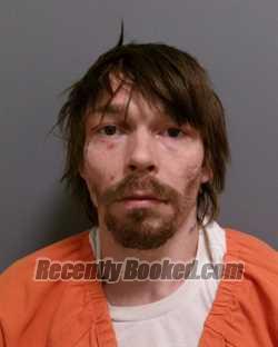 Recent Mugshot Image for JOSEPH EUGENE HOLLOWAY in Greene County, New York