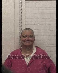 Recent Mugshot Image for LAURA PACE in Callahan County, Texas