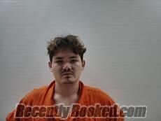 Recent Mugshot Image for ROBERTSON TYLER DAY in Cameron County, Texas