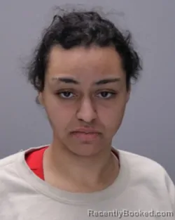 Recent Mugshot Image for ZOELIN XIAOLIN STREETER in Ontario County, New York