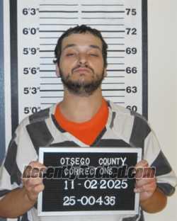 Recent Mugshot Image for MARCUS SAMUEL BORGGREEN in Otsego County, New York