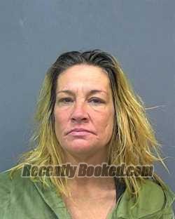 Recent Mugshot Image for MILLIE A SAUVAN in Rockland County, New York