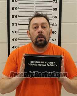 Recent Mugshot Image for STEVEN E NOXON in Schoharie County, New York