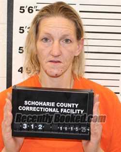 Recent Mugshot Image for STEPHANIE RENEE FERRIS in Schoharie County, New York