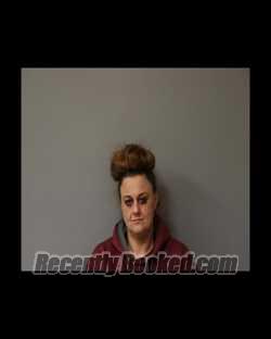 Recent Mugshot Image for AMANDA L MAPHIS in Schuyler County, New York