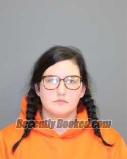 Recent Mugshot Image for MICHELLE L LEWIS in Seneca County, New York