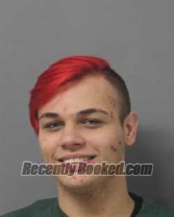 Recent Mugshot Image for DUSTIN FREDERICK SLY in Steuben County, New York