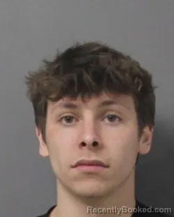 Recent Mugshot Image for TYLER CHRISTOPHER MAYORGA in Steuben County, New York