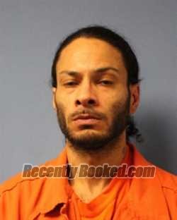 Recent Mugshot Image for JOSHUA A PELLETT in Wayne County, New York