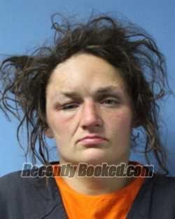 Recent Mugshot Image for NICOLE M LIVSEY in Wayne County, New York