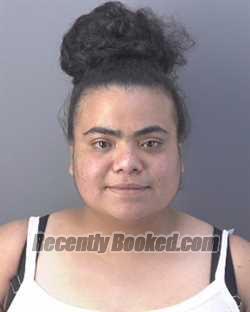 Recent Mugshot Image for ANGELICA MARIA QUINONEZ in Hendry County, Florida