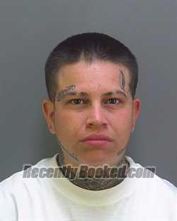 Recent Mugshot Image for VANESSA TIANNA DIAZ-ROBLES in Hendry County, Florida