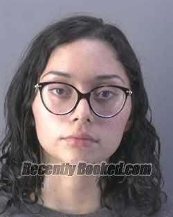 Recent Mugshot Image for BRIANA AGNES RABUINI in Hendry County, Florida
