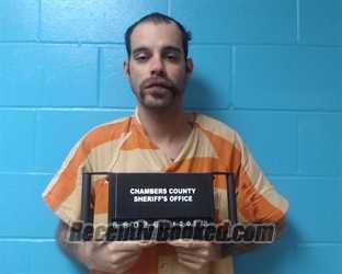 Recent Mugshot Image for Derrick Allen Artis in Chambers County, Texas