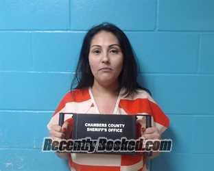 Recent Mugshot Image for Erica Beatris Perez in Chambers County, Texas