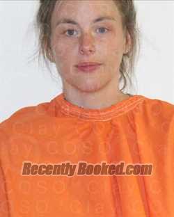 Recent Mugshot Image for HAILEY MICHELLE WILKINSON in Clay County, Texas