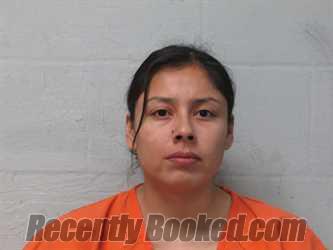 Recent Mugshot Image for ASHLEY TURTLE in Beckham County, Oklahoma