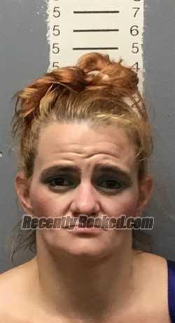 Recent Mugshot Image for NAOMI NICHOLE HINDS in Bryan County, Oklahoma
