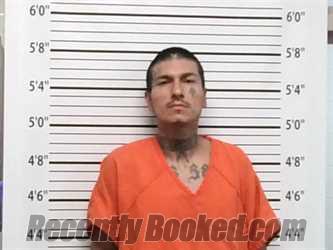 Recent Mugshot Image for ROBIN LONGHAT in Caddo County, Oklahoma