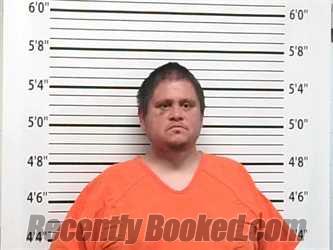 Recent Mugshot Image for JOEY WELLS FRENCH in Caddo County, Oklahoma