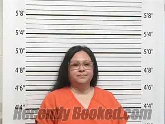 Recent Mugshot Image for ANDREA MARIE STEBENS in Caddo County, Oklahoma