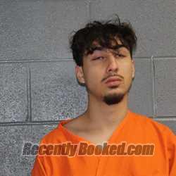 Recent Mugshot Image for ERFAN SEYED HOSSEINI in Canadian County, Oklahoma