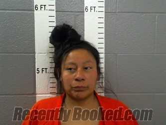 Recent Mugshot Image for ANGELA RAE HERNANDEZ in Carter County, Oklahoma