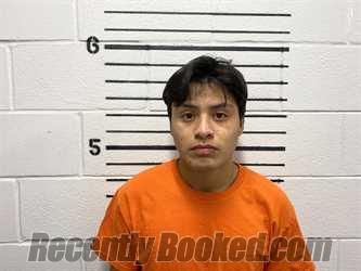 Recent Mugshot Image for DANIEL NIURULU in Cimarron County, Oklahoma