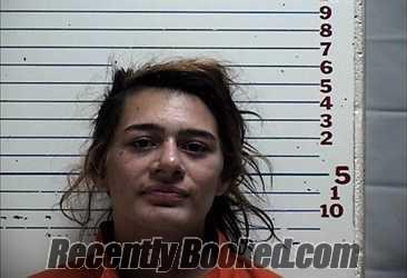 Recent Mugshot Image for MEGAN ELIZABETH DODSON in Comanche County, Oklahoma