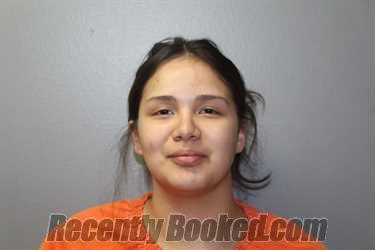 Recent Mugshot Image for HEIDI JUVENILE MARTIN in Custer County, Oklahoma