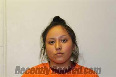 Recent Mugshot Image for MCKINLEY RENEE RIVERS in Custer County, Oklahoma