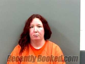 Recent Mugshot Image for SARA ELIZABETH HANLON in Grady County, Oklahoma