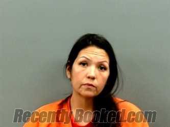 Recent Mugshot Image for CHRISTINE MICHELLE JONES in Grady County, Oklahoma