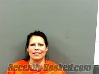 Recent Mugshot Image for SHANNON MICHELLE PEREZ in Grady County, Oklahoma