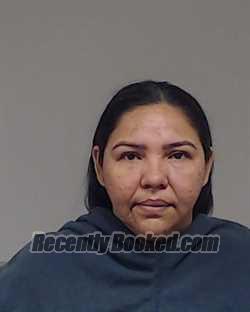 Recent Booking / Mugshot for ADREINA POLANCO in Collin County, Texas