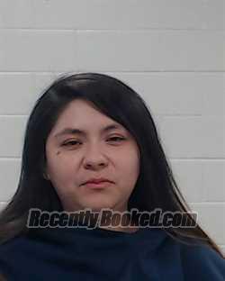Recent Booking / Mugshot for Elizabeth Rico in Collin County, Texas