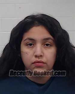 Recent Mugshot Image for Alexis Samantha Trevino in Collin County, Texas