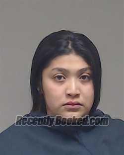 Recent Booking / Mugshot for Ruth Castro in Collin County, Texas