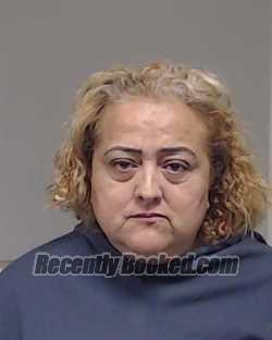 Recent Booking / Mugshot for Sara Salazar in Collin County, Texas