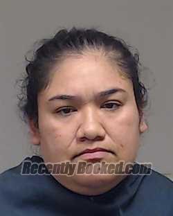 Recent Booking / Mugshot for Elizabeth Hernandez in Collin County, Texas